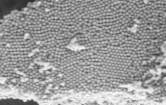 Amino coated TiO2 titania nanospheres and microspheres(Inorganic/Titania/Aminated NH2)